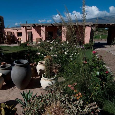 Finca Huayrapuca Famatina Екстериор снимка