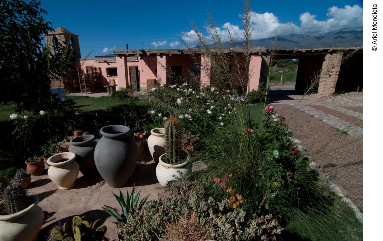 Finca Huayrapuca Famatina Екстериор снимка